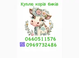 Зображення для оголошення Куплю бичків коней поросят баранів корів