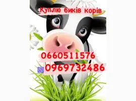 Зображення для оголошення Куплю коней лошаків кобил та гавядину