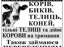 Зображення для оголошення Закупівля врх та продаж