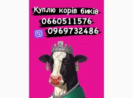 Зображення для оголошення Коні Куплю коней кобил лошаків! ціна висока