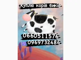 Зображення для оголошення Закупка биків свиней поросят