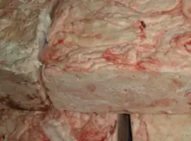 Зображення для оголошення Куплю жир сниной сырец