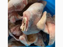 Зображення для оголошення Продам субпродукти курячі