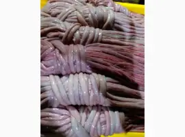 Зображення для оголошення Куплю кишку свиную