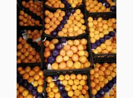 Зображення для оголошення Срочно продам апельсіни