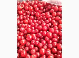 Зображення для оголошення Продам калину заморожену