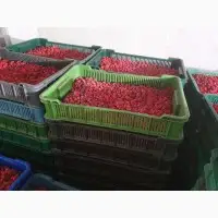 Зображення для оголошення Куплю ягоди малини