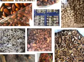 Зображення для оголошення Продам горіхи усіх видів та сухофрукти усіх видів