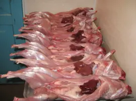 Зображення для оголошення Ферма Мясо Кролика(термонці) завжди свіже