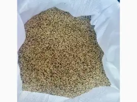 Зображення для оголошення Продам конореечное просо корм для попугаев и конореек