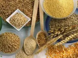 Зображення для оголошення Закуповуємо зернові, бобові та олійні культури