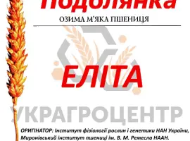 Зображення для оголошення Насіння озимої пшениці ПОДОЛЯНКА еліта 2025