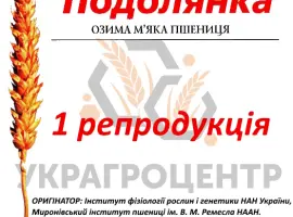 Зображення для оголошення Насіння озимої пшениці ПОДОЛЯНКА 1 репродукція 2024р