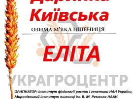 Зображення для оголошення Насіння озимої пшениці ДАРИНКА КИЇВСЬКА еліта 2025р