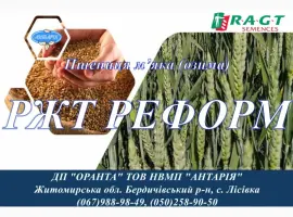 Зображення для оголошення Насіння озимої пшениці РЖТ РЕФОРМ (СН