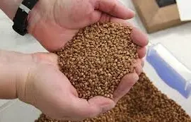 Зображення для оголошення Продаж гречки