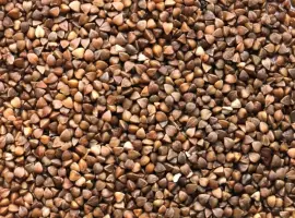 Зображення для оголошення Куплю гречку