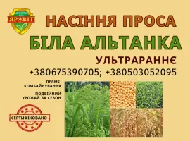Зображення для оголошення Насіння просо