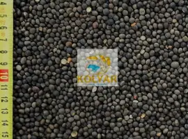 Зображення для оголошення Закуповуємо вику