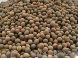 Зображення для оголошення Куплю вику