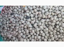 Зображення для оголошення Купую люпин