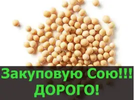 Зображення для оголошення Куплю СОЮ в будь якій кількості
