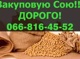 Зображення для оголошення Купую СОЮ у великих обсягах