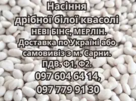 Зображення для оголошення Насіння квасолі НЕВІ БІНС