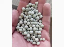 Зображення для оголошення Продам горох зелёный