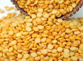 Зображення для оголошення Горох жовтий купляємо
