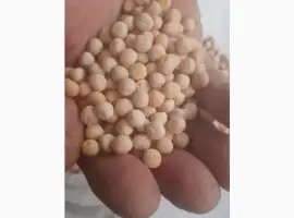 Зображення для оголошення Закупка Полтава