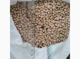 Зображення для оголошення Купуємо люпин