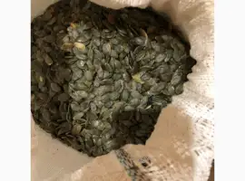Зображення для оголошення Продам зернята "Голосім'янка"