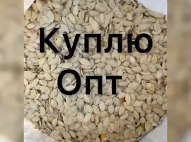 Зображення для оголошення Купимо Гарбузове насіння всіх сортів