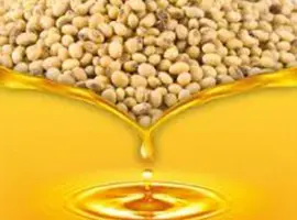 Зображення для оголошення Продам олію соєву