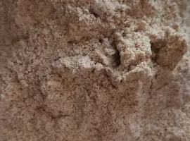 Зображення для оголошення Цельнозерновая спельтовая мука