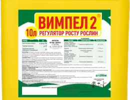 Зображення для оголошення Стимулятор роста вимпел 2