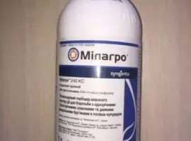 Зображення для оголошення Купить гербицид Милагро