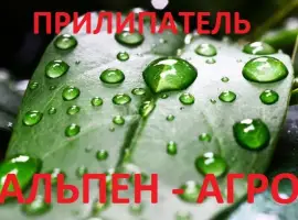 Зображення для оголошення Прилипатель