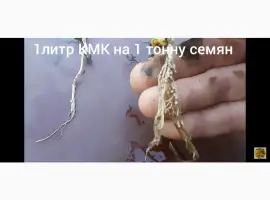 Зображення для оголошення КмК - стимулятор роста