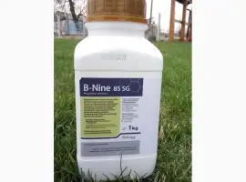 Зображення для оголошення Регулятор роста Би Найн B-Nine 85 SG для хризантем (Польша)