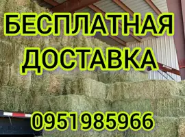 Зображення для оголошення В наличии 300 тонн сена люцерны. Бесплатная доставка