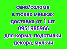 Зображення для оголошення На подстилку собакам в будку сено солома в тюках мешках, доставка от 1 шт, сіно для корма