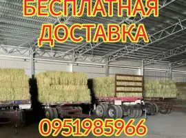 Зображення для оголошення БЕСПЛАТНАЯ доставка сена лугового, люцерны, соломы в тюках