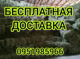 Зображення для оголошення ЛЮЦЕРНА в тюках с бесплатной доставкой. Есть б.н. Объёмы. Качество