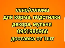 Зображення для оголошення Сено для сельхозживотных с БЕСПЛАТНОЙ доставкой. Луговое, люцерна, солома