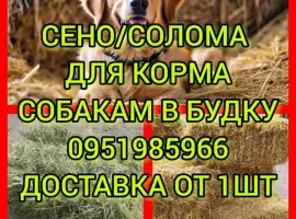 Зображення для оголошення Бесплатная доставка сена в тюках мешках (луговое, люцерна, солома)