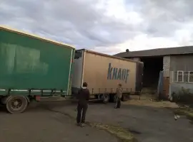Зображення для оголошення Сено в тюках луговое