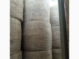 Зображення для оголошення Продам суху солому у циліндричних тюках