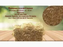 Зображення для оголошення Тюки соломи пшеничної врожаю 2024 року